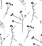 线描植物 