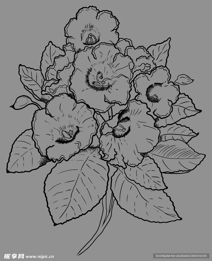 花绘