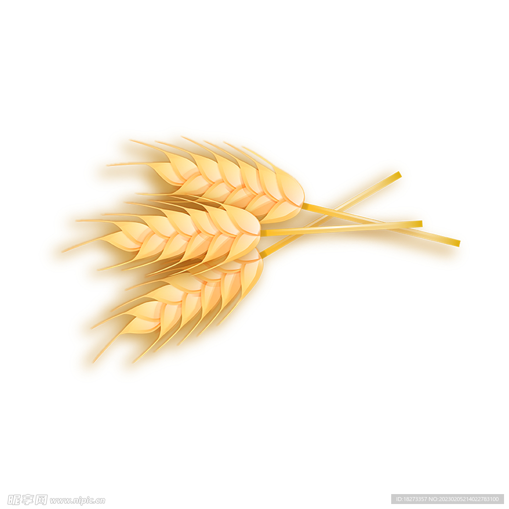 麦穗
