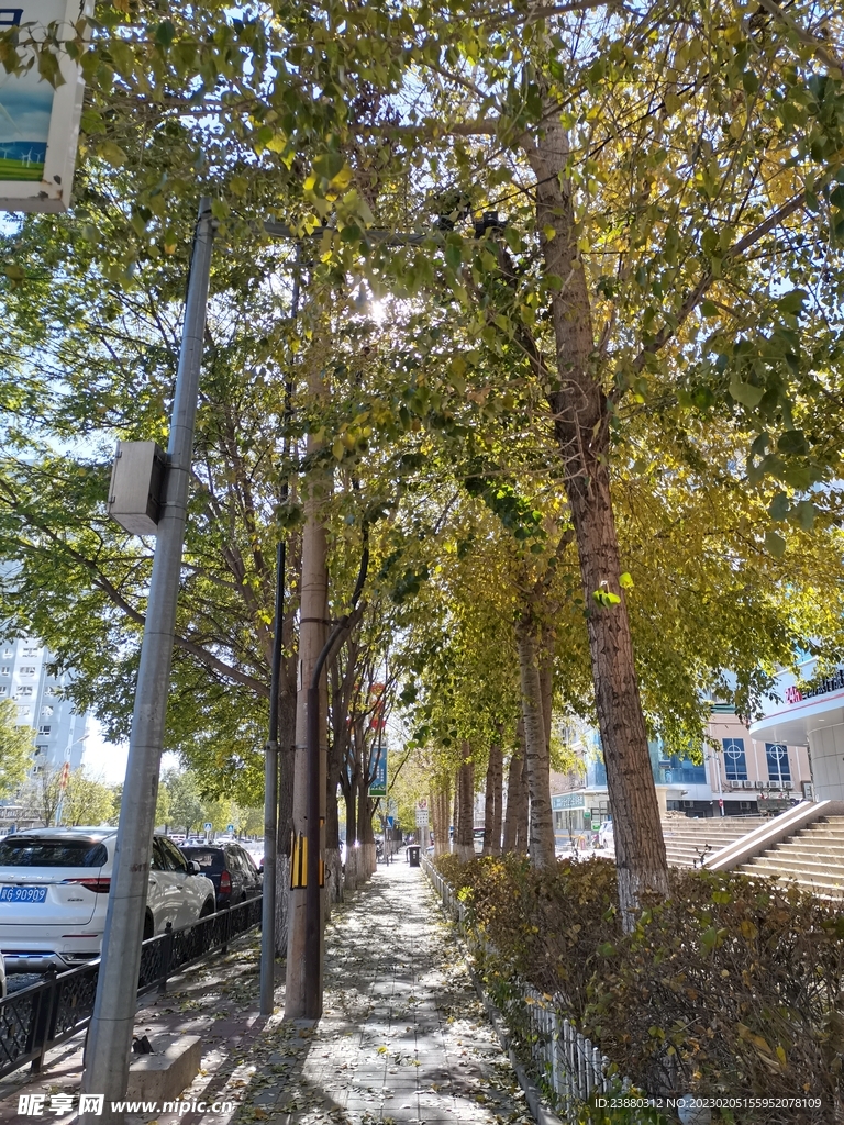 道路景色
