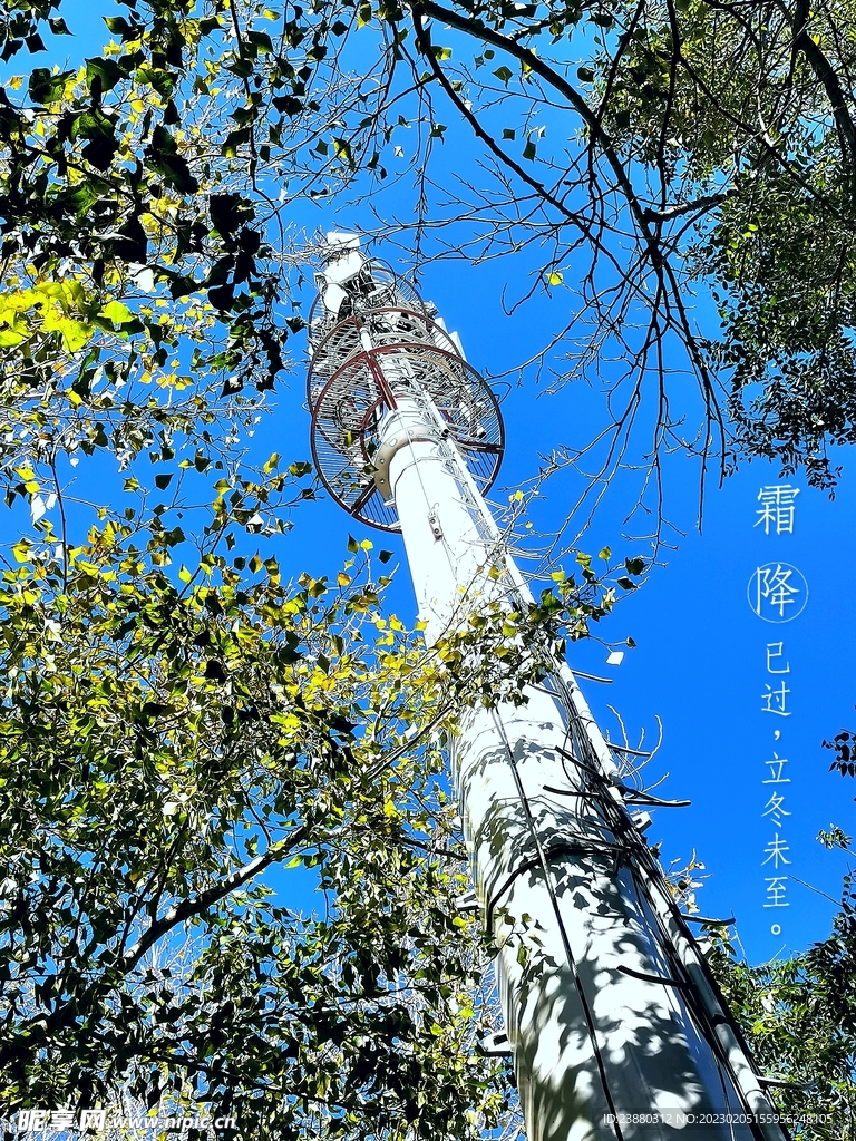 塔