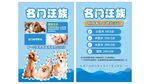宠物店宣传单