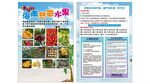 热带水果宣传单