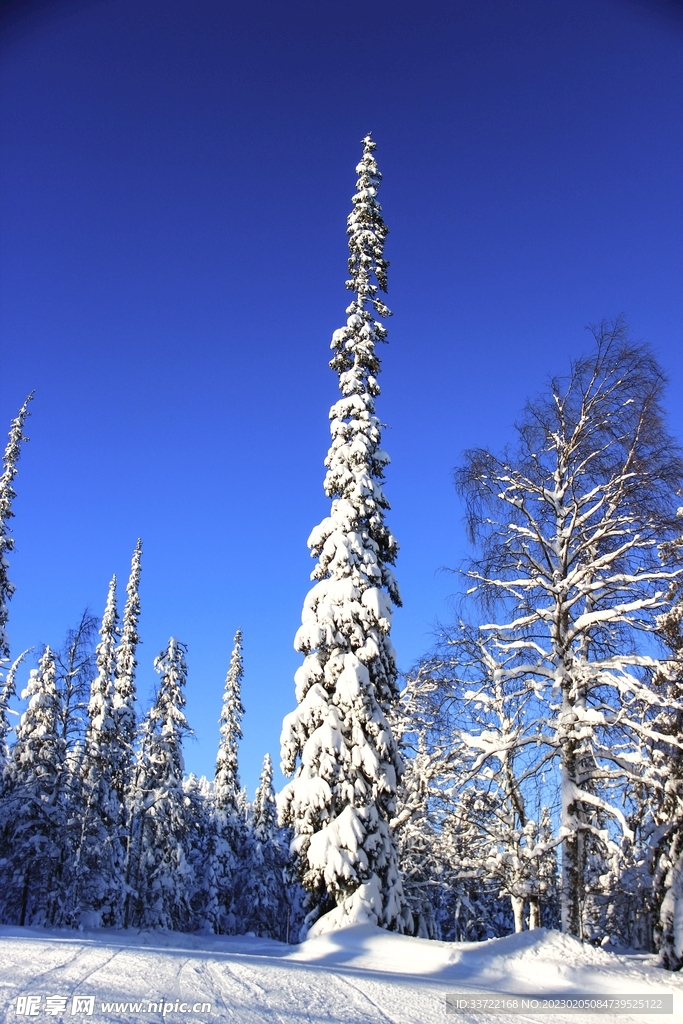 滑雪场