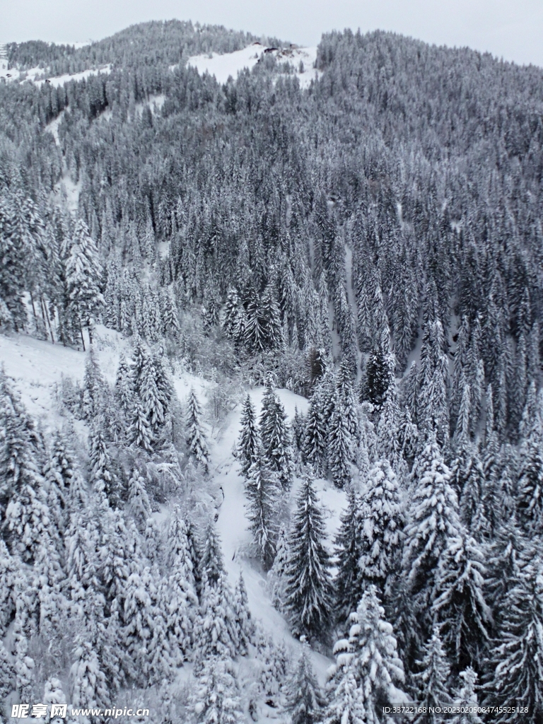 滑雪场