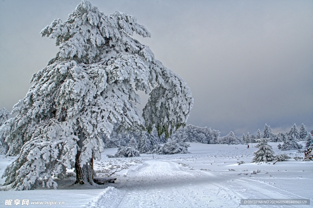 滑雪场