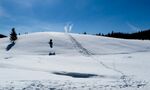 滑雪