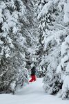 滑雪