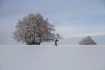 滑雪
