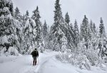 滑雪