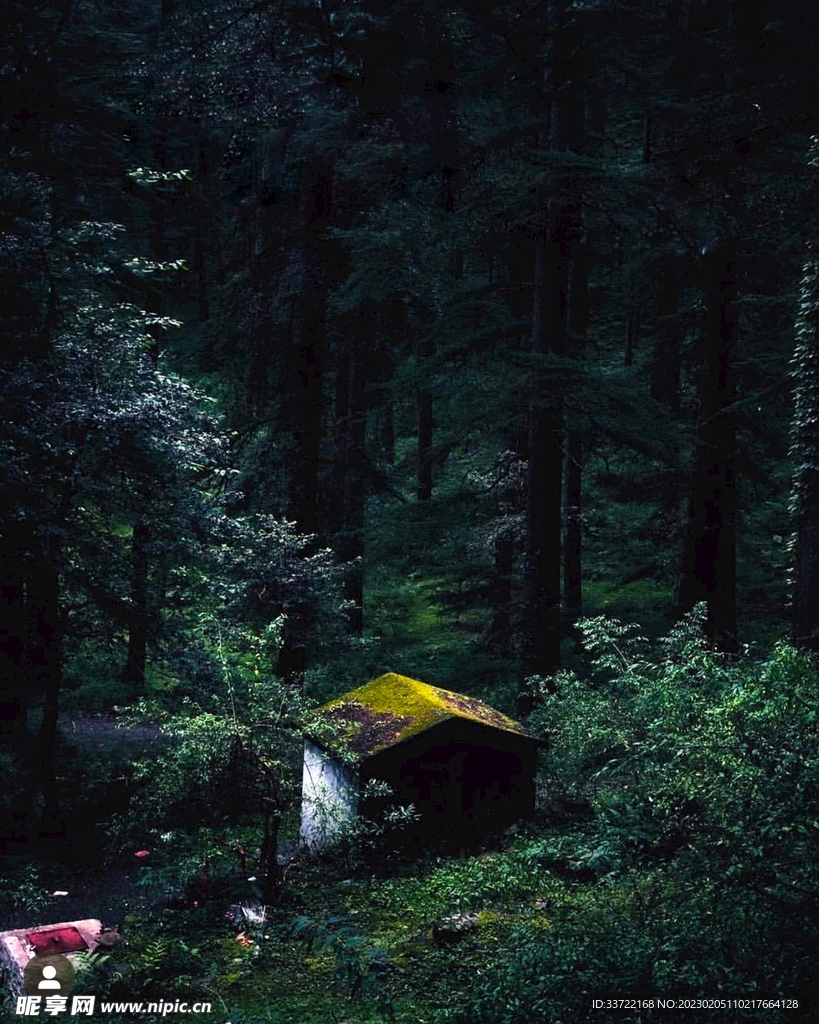 木屋
