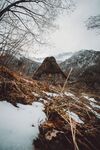 木屋