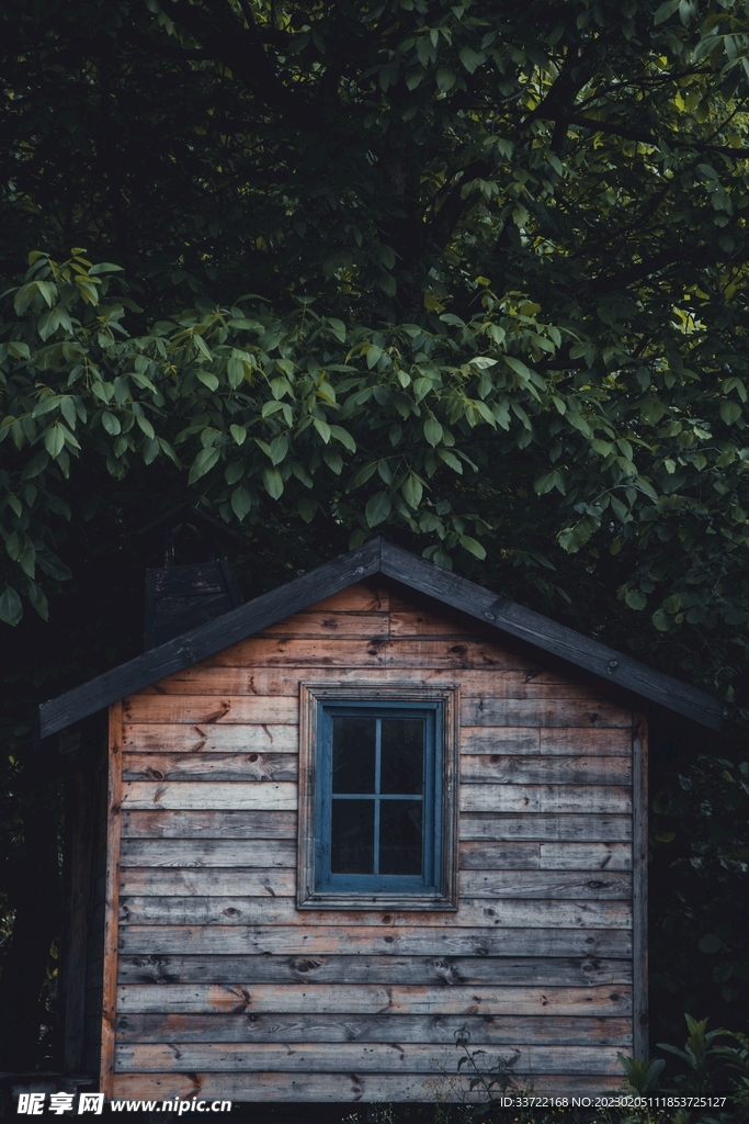 木屋
