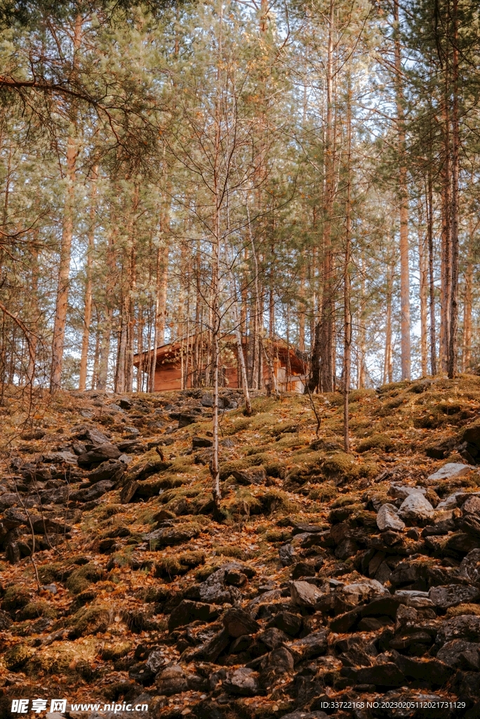 木屋