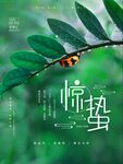 惊蛰宣传