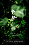 惊蛰节气