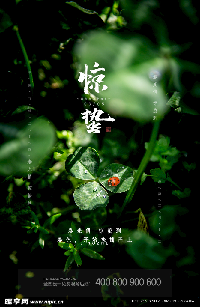 惊蛰节气
