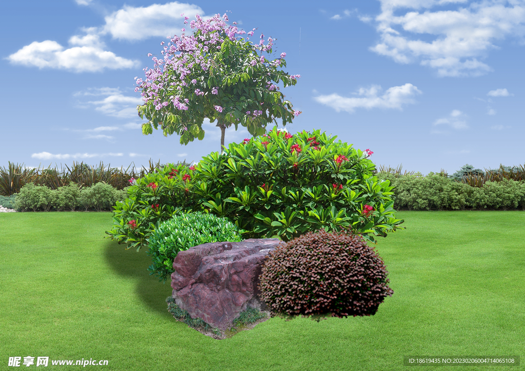 景观设计植物树木组团素材贴图图
