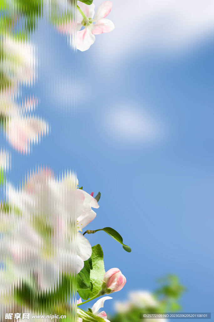 春天花朵蓝天摄影图长虹玻璃背景