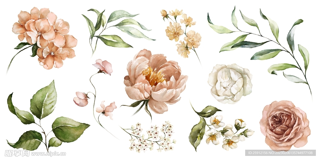 手绘花
