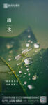 雨水节气稿