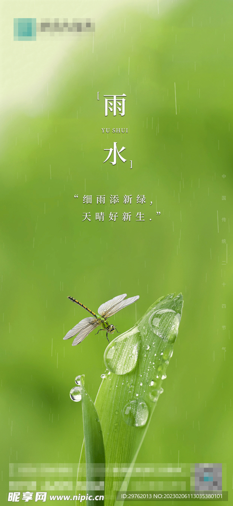 雨水节气稿