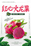 火龙果
