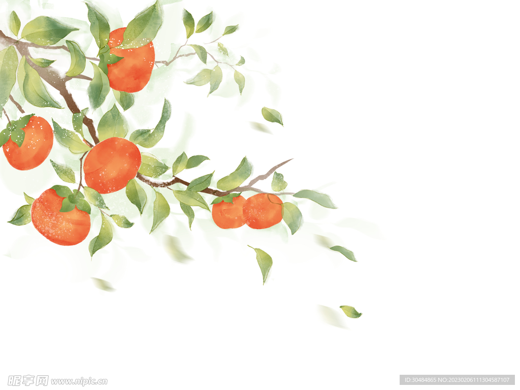 手描き 冬 イラスト 枝にぶら下がっている赤い柿 柿の木イラスト画像とPSDフリー素材透過の無料ダウンロード - Pngtree