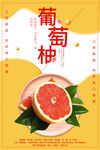 柚子海报
