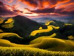 梯田风景
