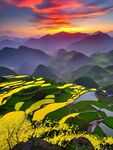 梯田风景