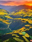 梯田风景