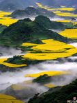 梯田风景