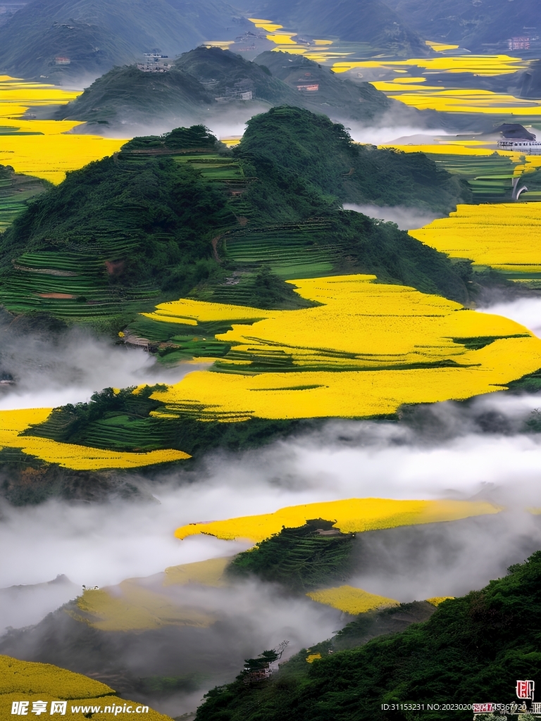 梯田风景