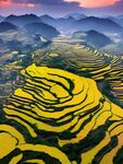 梯田风景