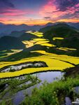 梯田风景