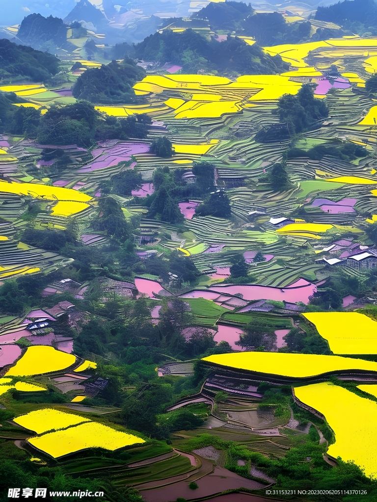 梯田风景