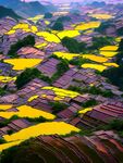 梯田风景