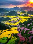 梯田风景