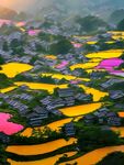 梯田风景