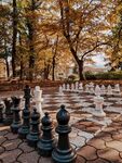 国际象棋