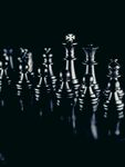 国际象棋