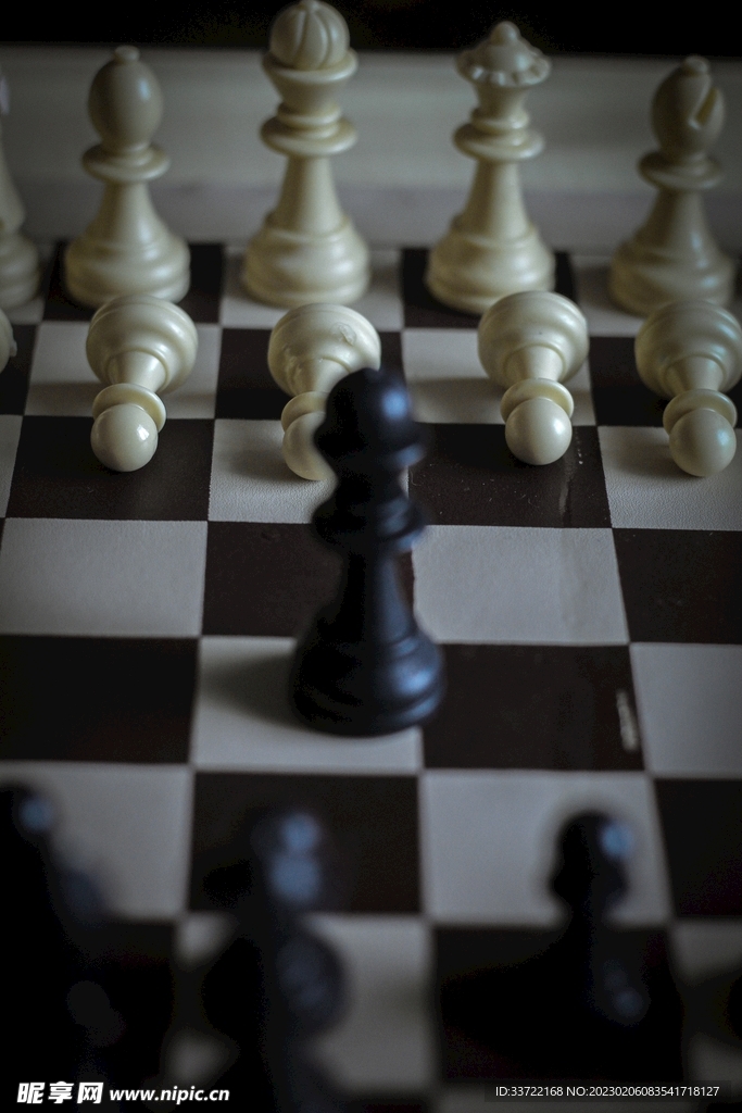 国际象棋