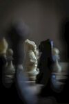 国际象棋