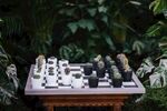 国际象棋 