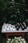 国际象棋