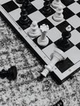 国际象棋 