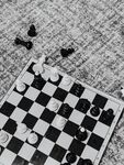 国际象棋