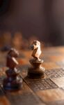 国际象棋 
