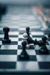 国际象棋